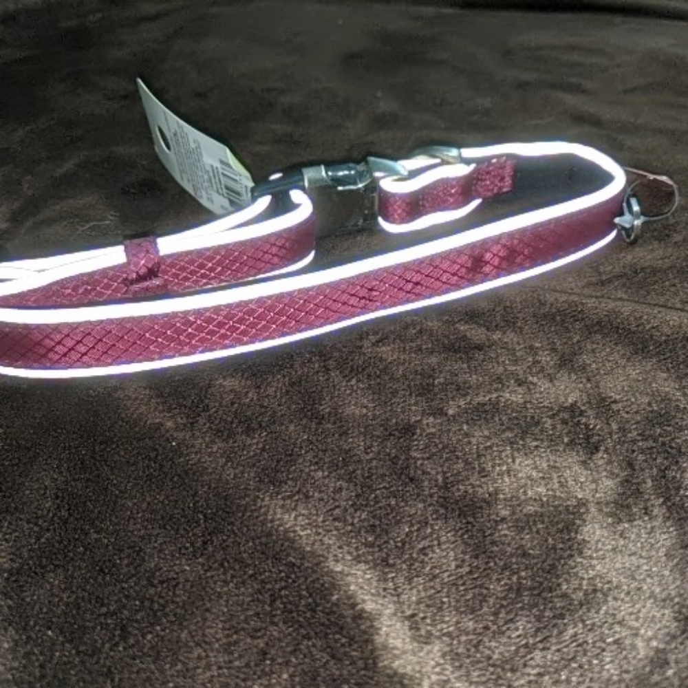 NWT Kong Reflective Dog Collar Pink Magenta M Padded